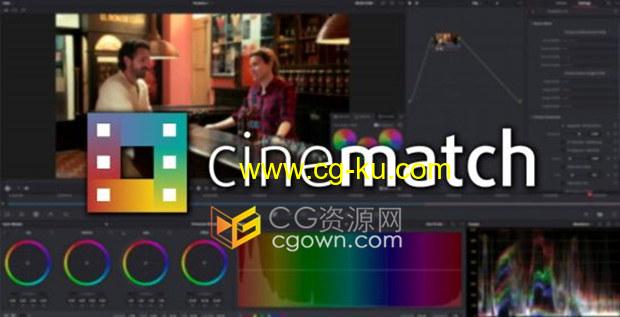 CineMatch v1.06 Resolve达芬奇插件摄像机色彩空间匹配调色工具的图片1