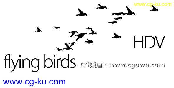 Videohive flying birds 飞鸟视频素材的图片1