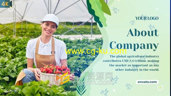 AE模板-农业宣传幻灯片农场农民食品生产商水果花园绿色天然产品推广视频的图片1