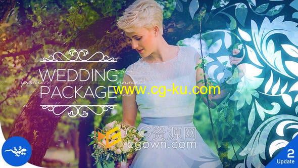 AE模板-浪漫婚礼视频制作唯美效果Wedding Package的图片1