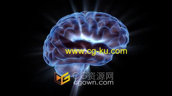 视频素材-3D人体大脑旋转影像素材制作医学科学人脑功能解剖动画的图片1