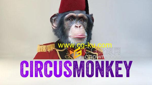 CircusMonkey v1.05 AE脚本制作动态3D翻转动画文字排版效果的图片1