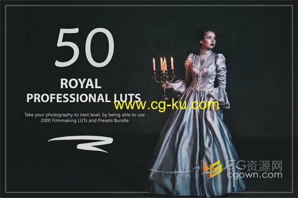 50个高贵皇室宫廷风格皇家LUT和预设包免费下载的图片1