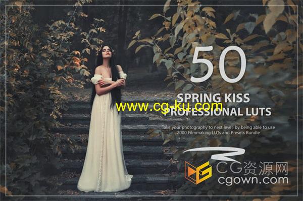 50个温馨偏灰暗色调Spring Kiss LUT 和预设包的图片1