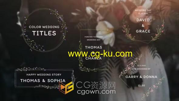 鲜花徽章浪漫爱情文字标题复古排版婚礼视频字幕Wedding Titles-达芬奇模板的图片1