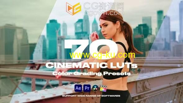 Cinematic LUTs Vol.1 70种电影调色预设cube文件的图片1