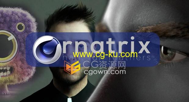 Ephere Ornatrix v2.2.9.29361 C4D毛发插件头免费下载的图片1