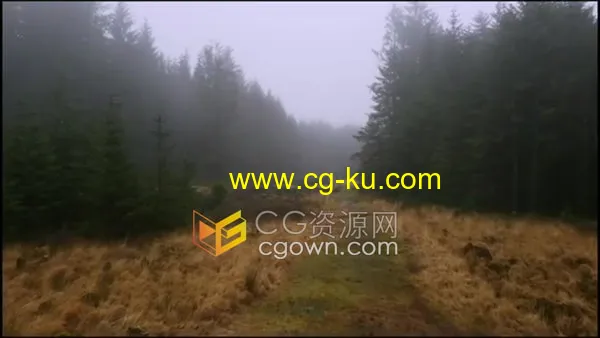 实拍穿越荒地松林地石头小路的航拍画面视频素材4K的图片1