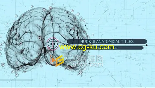 AE模板-HUD UI人体解剖大脑头骨肺和躯干场景演示标题动画医学解说文本的图片1