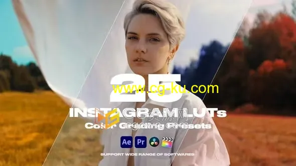 25个漂亮的LUTS调色广泛用于社交媒体短视频广告电影婚礼剪辑的图片1