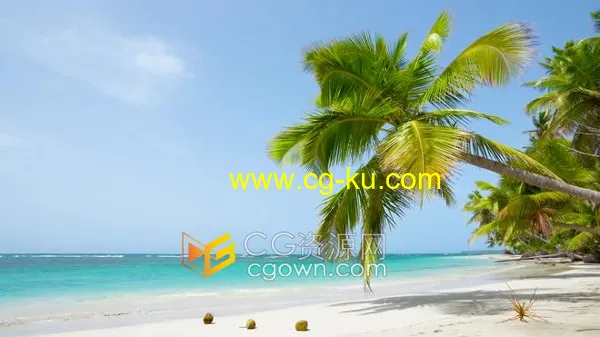 4K实拍视频素材海边白白沙滩棕榈树蓝天的图片1