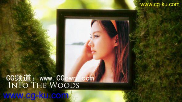 大树林相册Videohive Into The Woods V1.0 AE模板的图片1