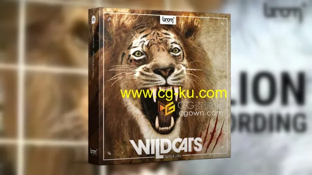 Wildcats Tigers & Lions音效狮子老虎咆哮声嗅探声动画音效928种的图片1