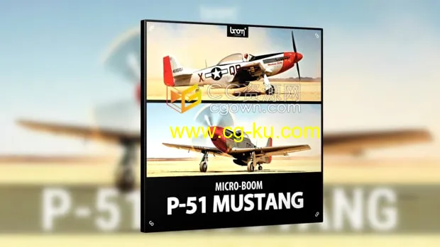 P-51 Mustang战斗机飞机音效素材34种声音免费下载的图片1