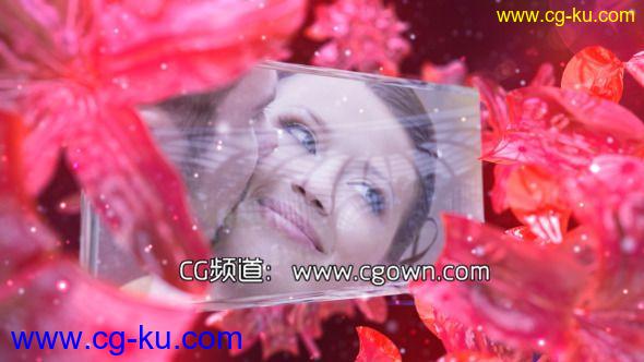 AE模板-超漂亮水晶花童话婚礼相册Videohive Wedding Fairy的图片1