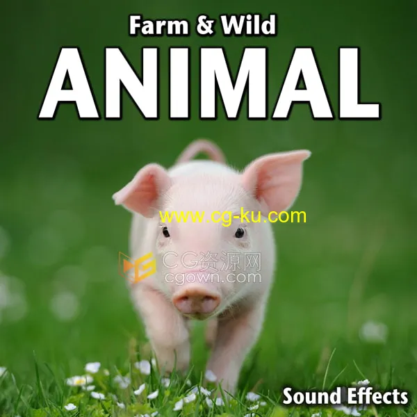 创意农场和野生动物高质量无损音效FLAC文件免费下载的图片1