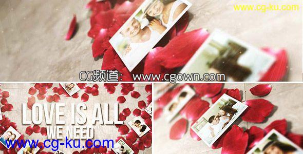 玫瑰花瓣心相册Videohive Rose Petals Heart Photo Gallery AE模板的图片1