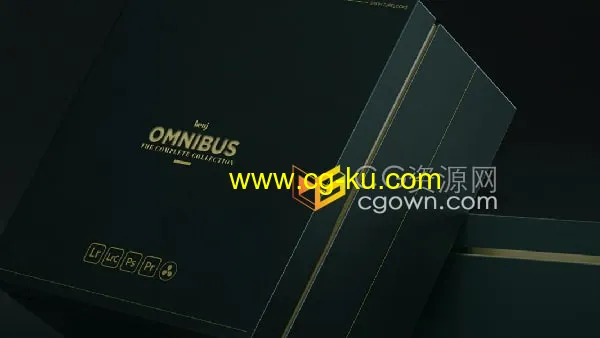 Omnibus包括100个Lightroom预设照片调色+17个视频LUTS预设的图片1