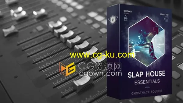 Slap House Essentials样本预设MIDI拍打节奏音效素材的图片1