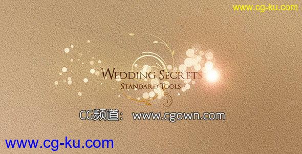 浪漫婚礼VideoHive Wedding Secrets AE模板的图片1