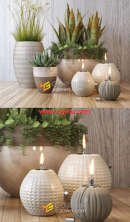 Crate&Barrel 盆栽植物装饰套装3ds Max三维模型的图片1