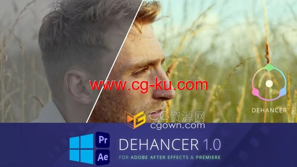 Ae/Pr插件电影质感胶片效果Dehancer Pro 1.1.0的图片1