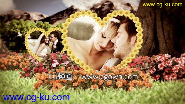 唯美花园婚礼 Videohive Wedding Garden AE模板的图片1