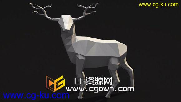 C4D-低面数多边形风格鹿建模包装教程的图片1