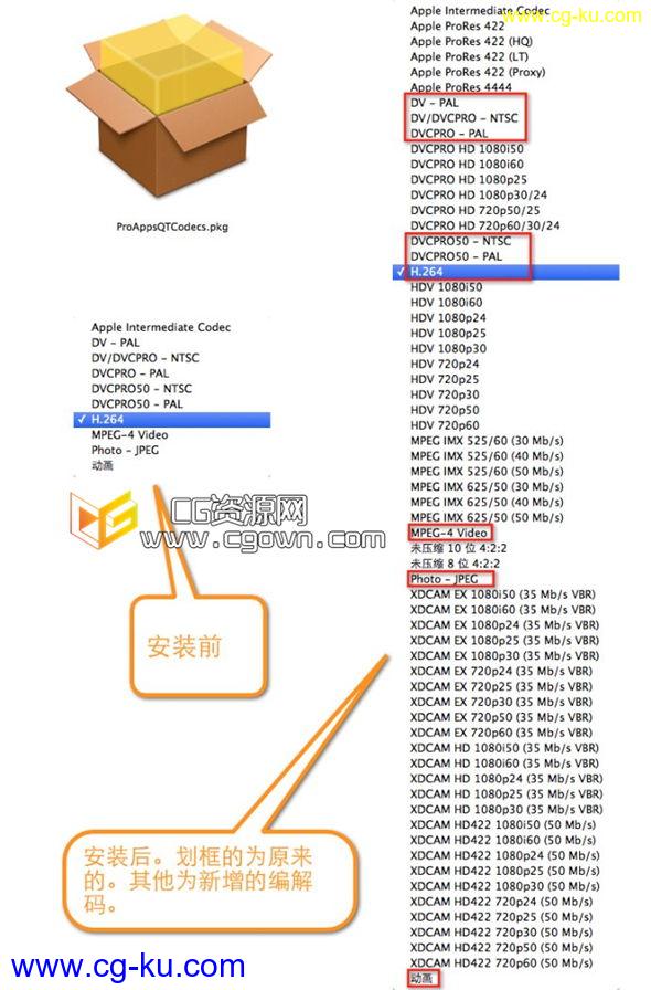 苹果上编解码器安装包“ProAppsQTCodecs” H.264的图片1